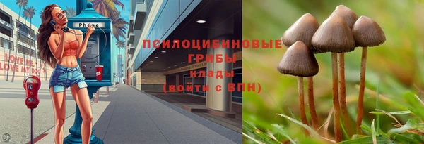 мескалин Балахна