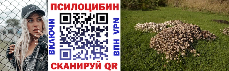mega сайт  Багратионовск  Псилоцибиновые грибы ЛСД 