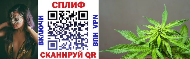 где найти наркотики  Багратионовск  Канабис Amnesia 
